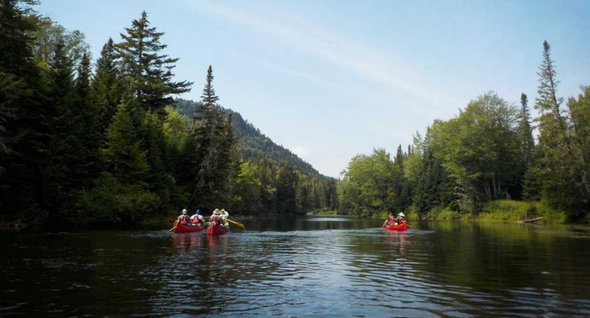 a group of three canoes manned by veterans navigates water on an outward bound trip